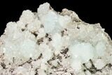 Lustrous Hemimorphite Crystal Cluster - Congo #148481-2